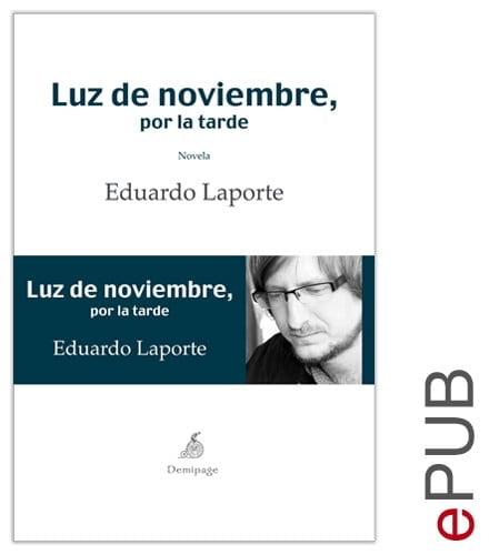 Cubierta de Luz de noviembre, por la tarde (ePUB)